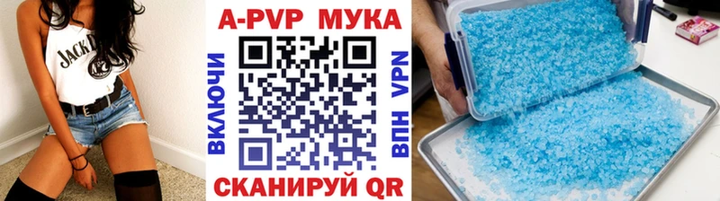 APVP СК Ногинск