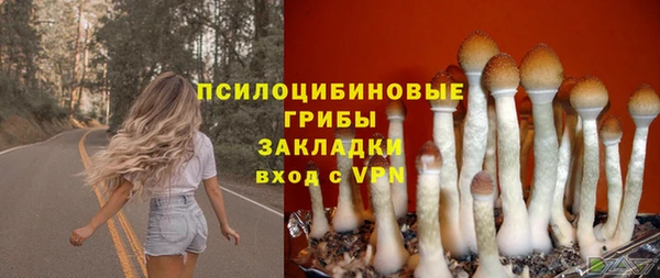 дурь Каменногорск