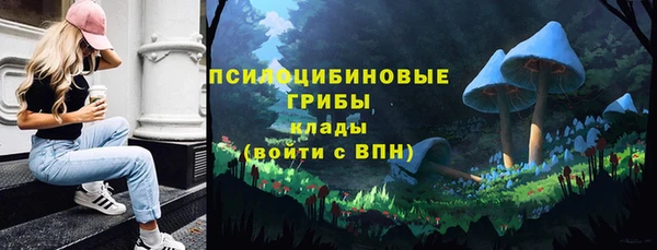 дурь Каменногорск