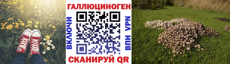 Псилоцибиновые грибы мухоморы  даркнет наркотические препараты  Ногинск 