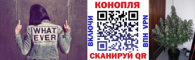 цена наркотик  блэк спрут ТОР  Канабис Bruce Banner  darknet официальный сайт  Ногинск 